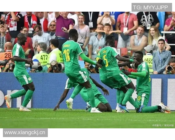 突尼斯与尼日利亚激战比分揭晓精彩赛事回顾与分析 突尼斯与尼日利亚激战比分揭晓精彩赛事回顾与分析